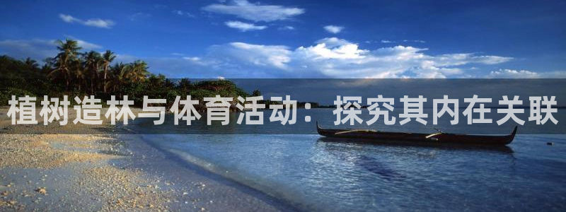必发88手机版本登录|植树造林与体育活动：探究其内在关联