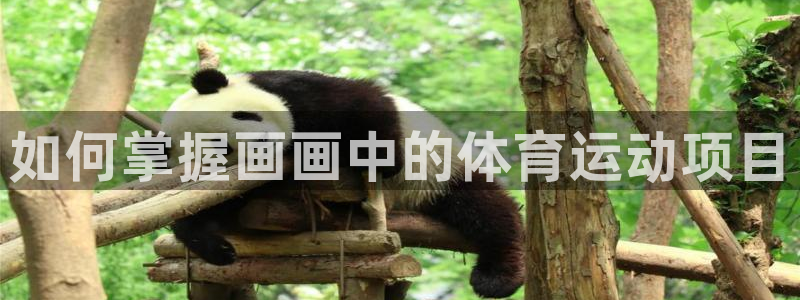 必发集团|如何掌握画画中的体育运动项目