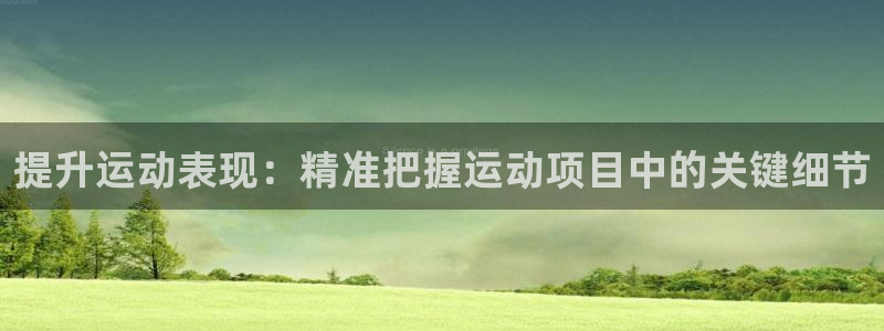 必发集团网站app|提升运动表现：精准把握运动项目中的关键细
