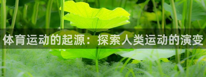 必发集团平台
