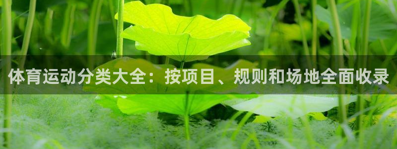 bifa必发唯一官网主页|体育运动分类大全：按项目、规则和场