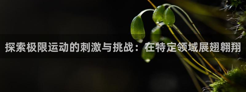 必发集团网址8860