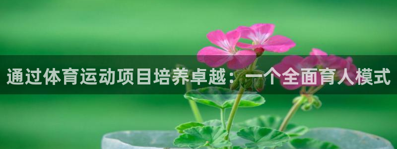 home一必发官网|通过体育运动项目培养卓越：一个全面育人模