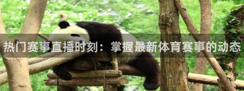 7790必发集团app|热门赛事直播时刻：掌握最新体育赛事的