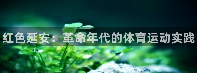 必发集团网站app